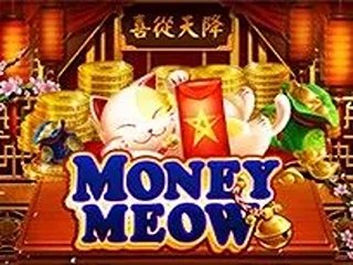 Money Meow